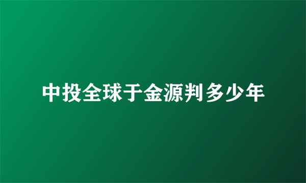 中投全球于金源判多少年