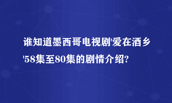 谁知道墨西哥电视剧'爱在酒乡'58集至80集的剧情介绍?