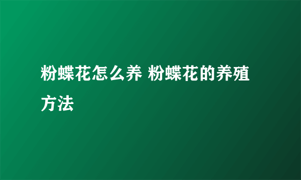 粉蝶花怎么养 粉蝶花的养殖方法