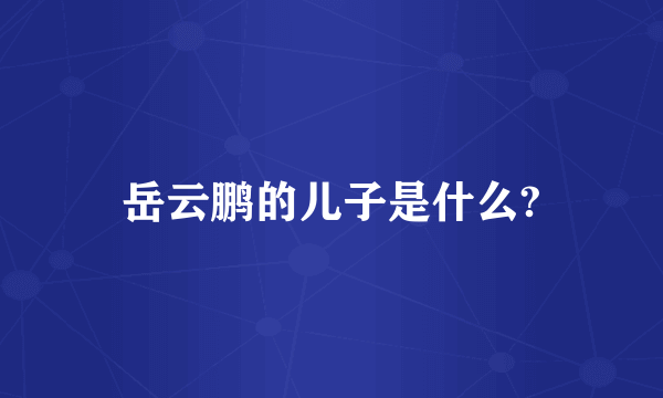 岳云鹏的儿子是什么?