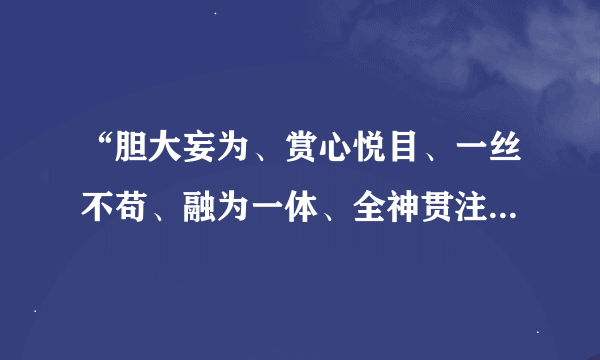 “胆大妄为、赏心悦目、一丝不苟、融为一体、全神贯注、仪态端庄、莫名其妙、信心十足”是什么意思？