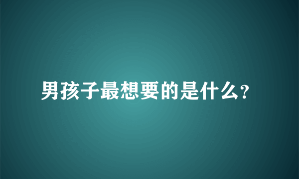 男孩子最想要的是什么？