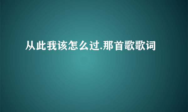 从此我该怎么过.那首歌歌词