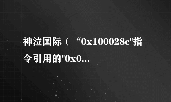 神泣国际（“0x100028c