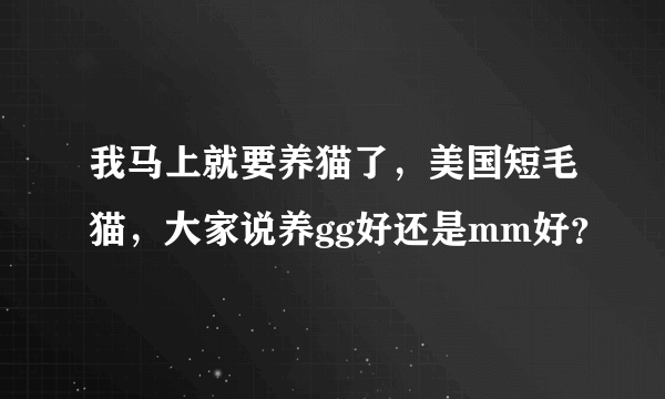 我马上就要养猫了，美国短毛猫，大家说养gg好还是mm好？