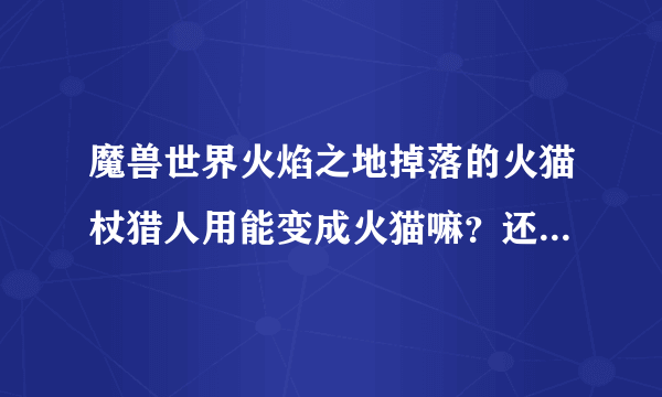 魔兽世界火焰之地掉落的火猫杖猎人用能变成火猫嘛？还是只有小德才能用