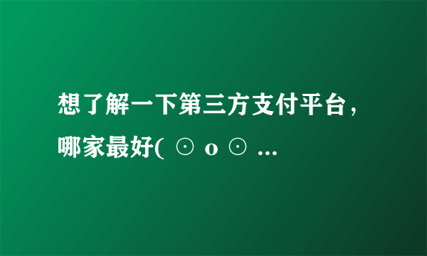 想了解一下第三方支付平台，哪家最好( ⊙ o ⊙ )啊！？