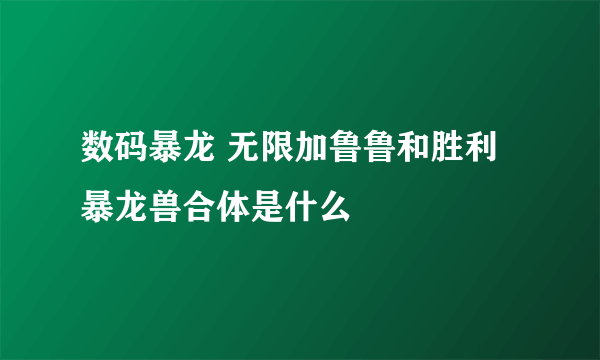 数码暴龙 无限加鲁鲁和胜利暴龙兽合体是什么