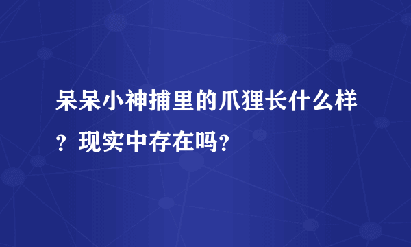 呆呆小神捕里的爪狸长什么样？现实中存在吗？