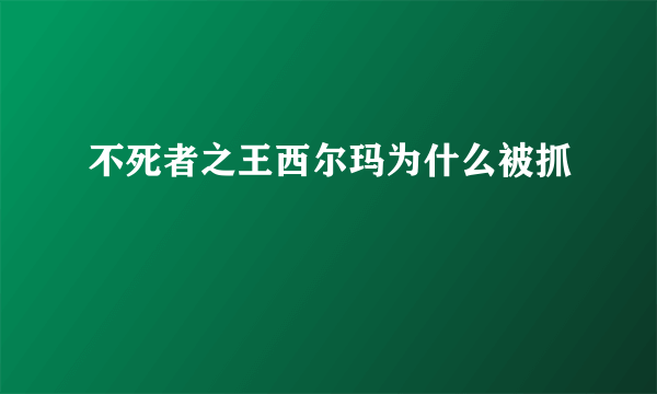 不死者之王西尔玛为什么被抓