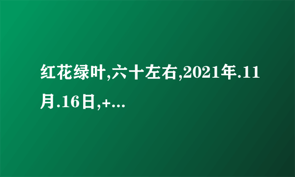 红花绿叶,六十左右,2021年.11月.16日,+是什么生肖？