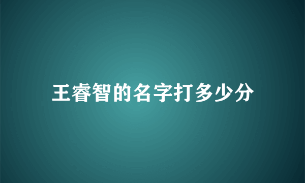 王睿智的名字打多少分