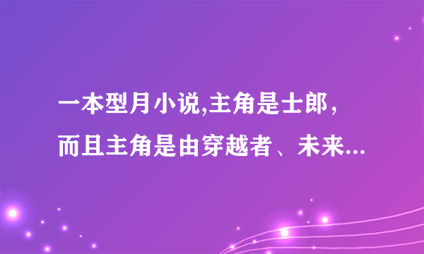 一本型月小说,主角是士郎，而且主角是由穿越者、未来的卫宫士郎融合而成的