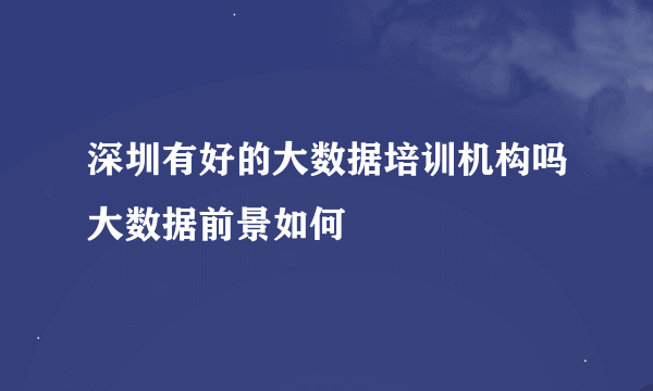 深圳有好的大数据培训机构吗大数据前景如何