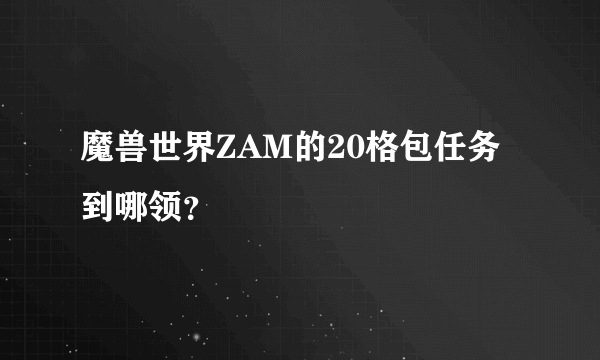 魔兽世界ZAM的20格包任务到哪领？