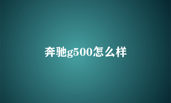 奔驰g500怎么样