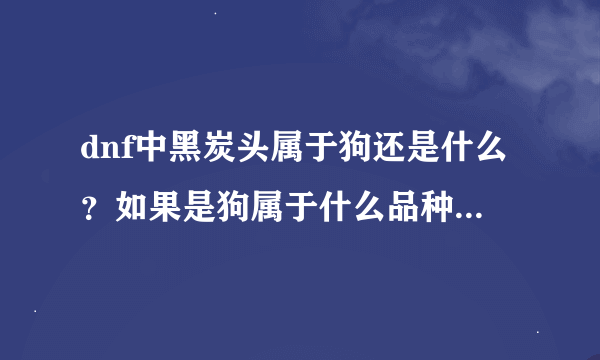 dnf中黑炭头属于狗还是什么？如果是狗属于什么品种的狗呢？