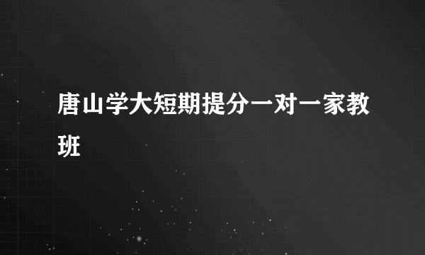 唐山学大短期提分一对一家教班