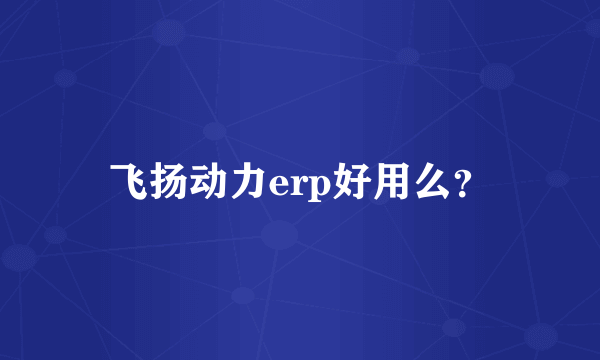 飞扬动力erp好用么？