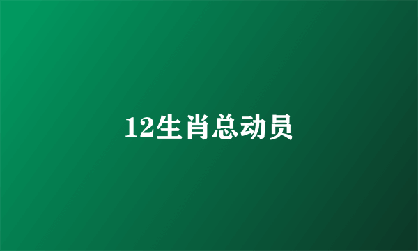 12生肖总动员