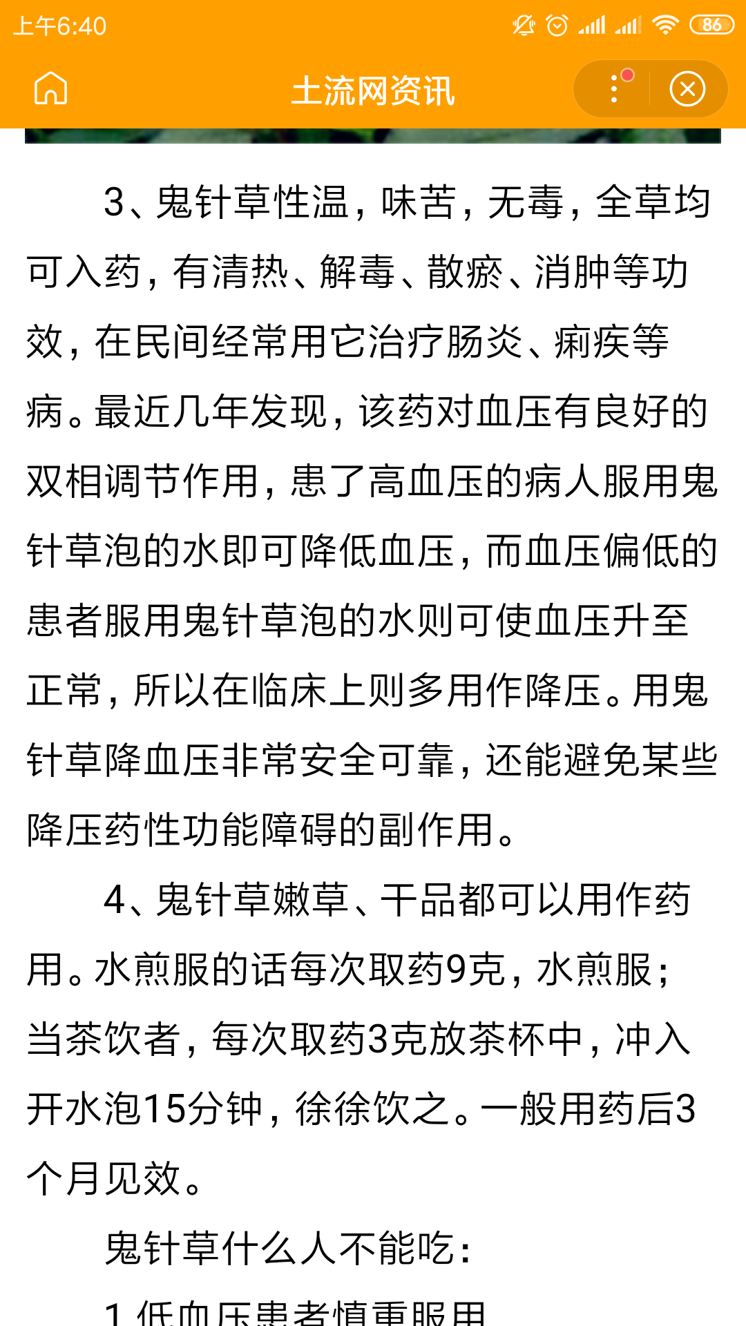 一种草，俗名叫;老婆针.有谁知道它的学名是什么吗？有什么药用价值呀？非常感谢啊……可以治疗什么病？