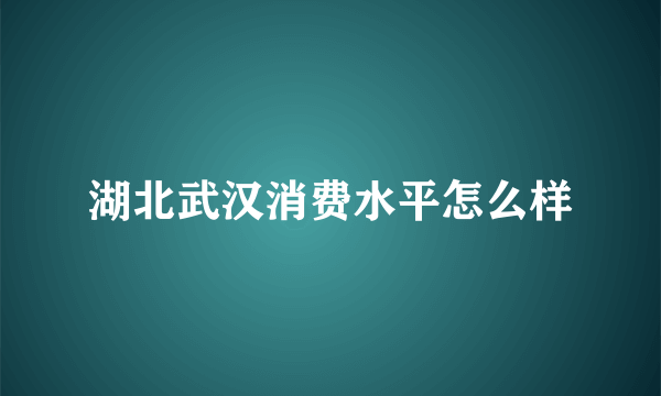 湖北武汉消费水平怎么样