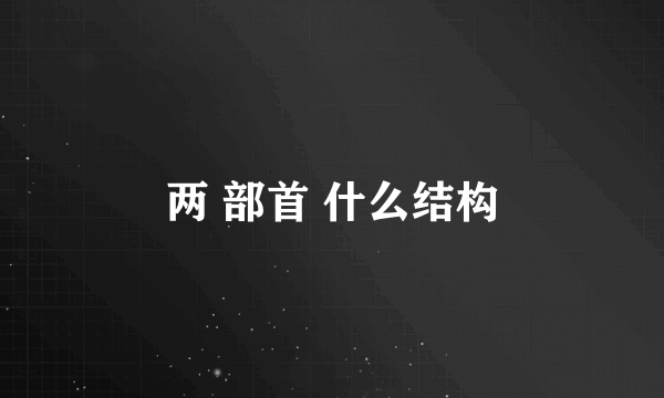 两 部首 什么结构