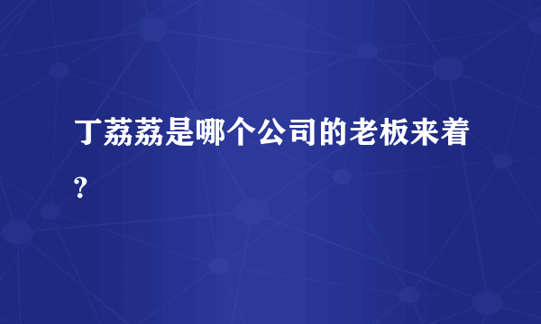 丁荔荔是哪个公司的老板来着？