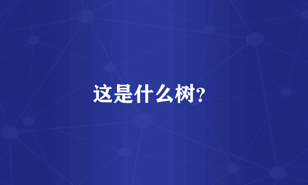 这是什么树？