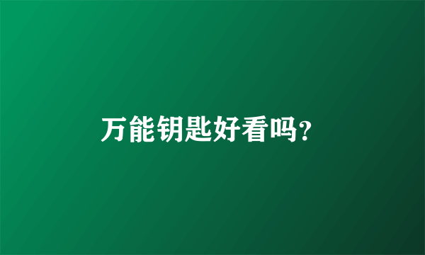 万能钥匙好看吗？