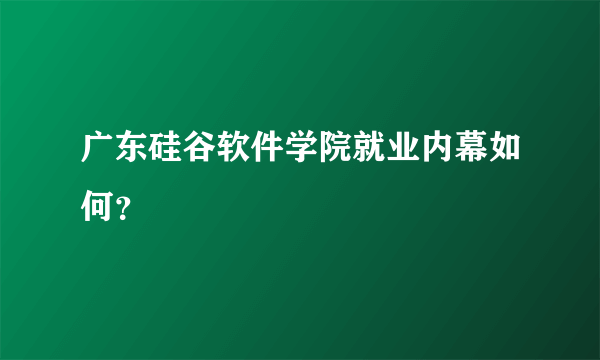 广东硅谷软件学院就业内幕如何？