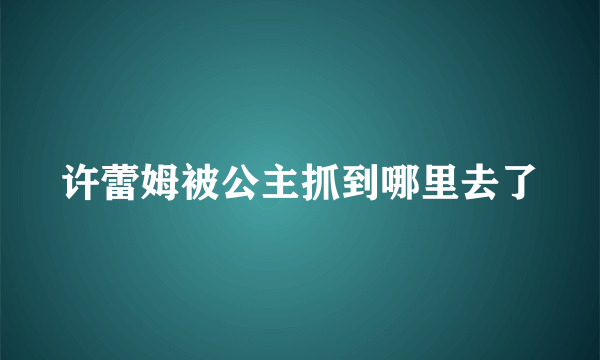 许蕾姆被公主抓到哪里去了