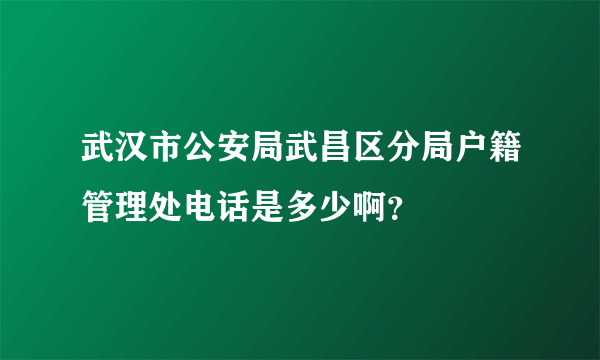 武汉市公安局武昌区分局户籍管理处电话是多少啊？