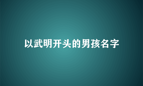 以武明开头的男孩名字