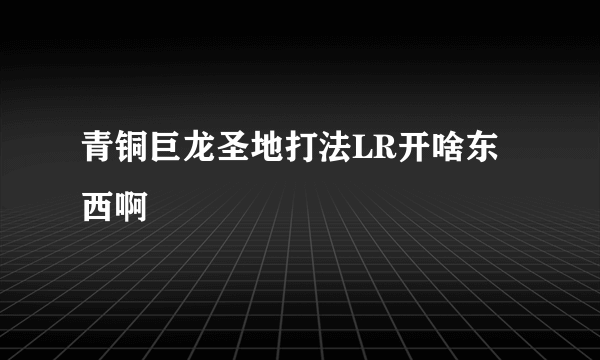 青铜巨龙圣地打法LR开啥东西啊