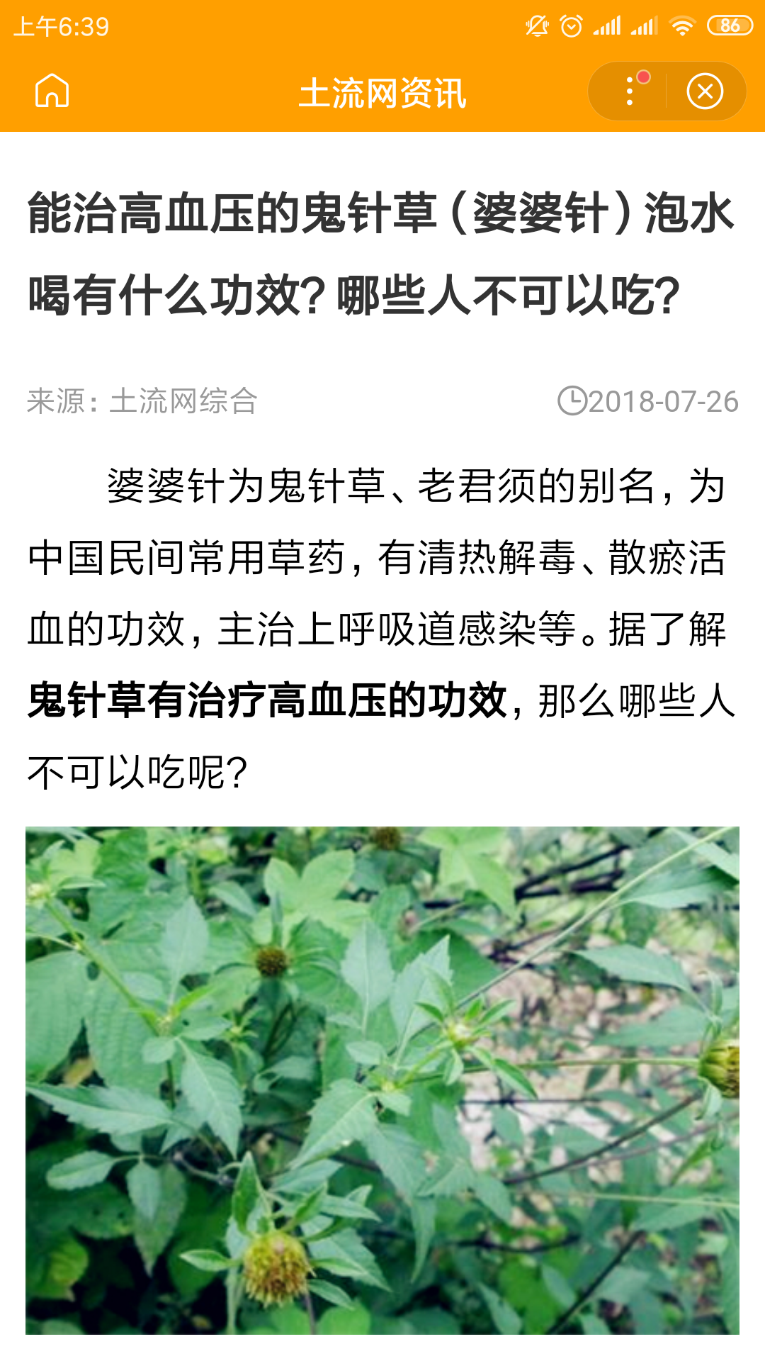 一种草，俗名叫;老婆针.有谁知道它的学名是什么吗？有什么药用价值呀？非常感谢啊……可以治疗什么病？