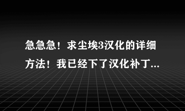 急急急！求尘埃3汉化的详细方法！我已经下了汉化补丁和注册表补丁，可还是不行