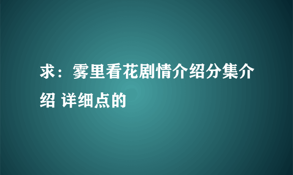 求：雾里看花剧情介绍分集介绍 详细点的