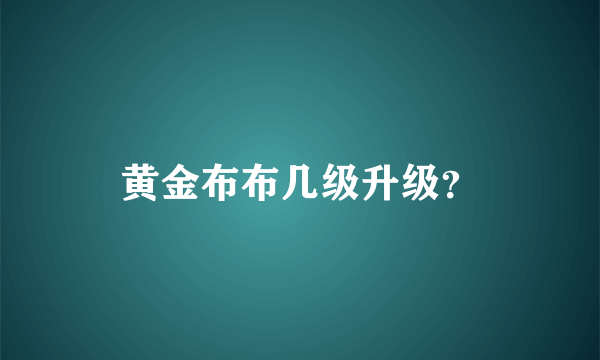 黄金布布几级升级？