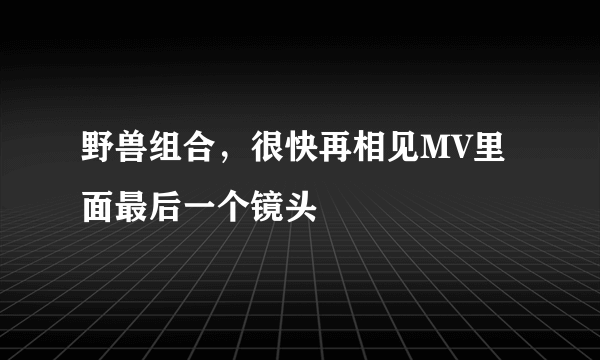 野兽组合，很快再相见MV里面最后一个镜头