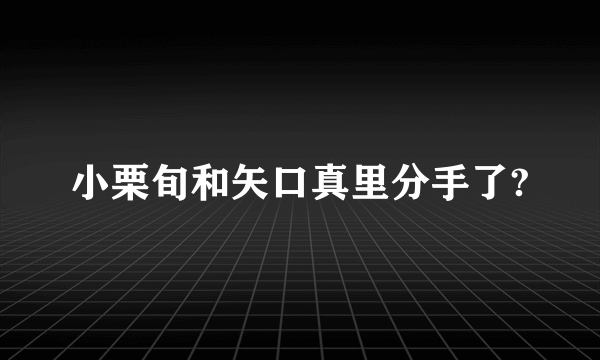 小栗旬和矢口真里分手了?