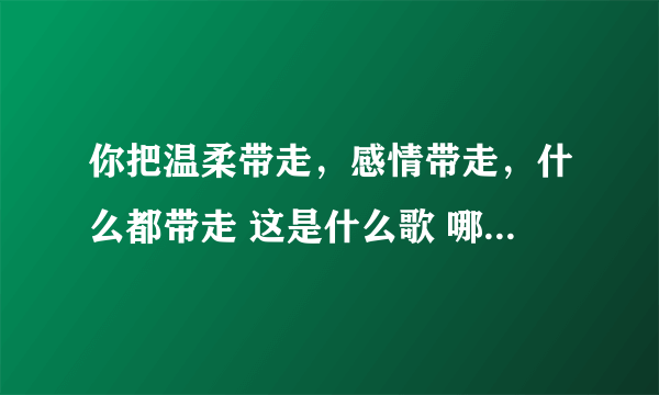 你把温柔带走，感情带走，什么都带走 这是什么歌 哪位大神给说一下 顺便带上歌词 谢谢