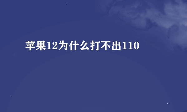 苹果12为什么打不出110