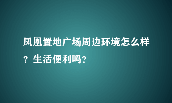 凤凰置地广场周边环境怎么样？生活便利吗？