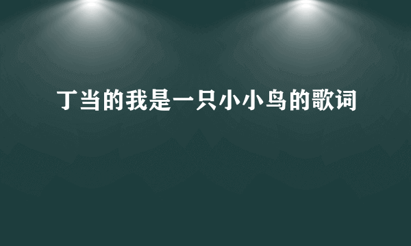 丁当的我是一只小小鸟的歌词