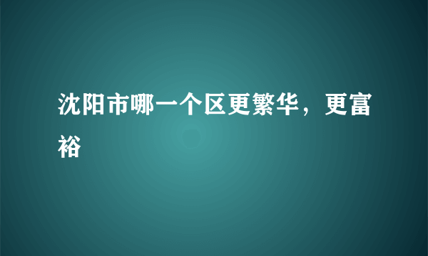 沈阳市哪一个区更繁华，更富裕