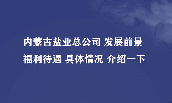 内蒙古盐业总公司 发展前景 福利待遇 具体情况 介绍一下