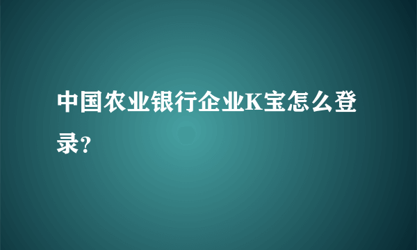 中国农业银行企业K宝怎么登录？