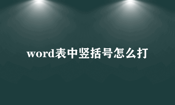 word表中竖括号怎么打