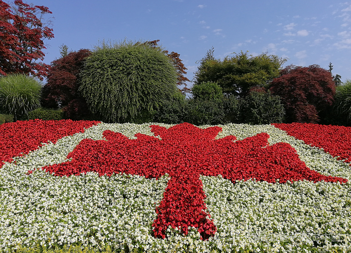 canada是哪个国家